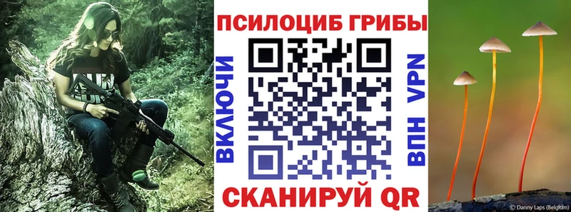 Галлюциногенные грибы Psilocybine cubensis  Игра 
